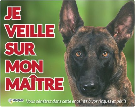 Vadigran Malinois Köpek Fotoğraf Tabelası